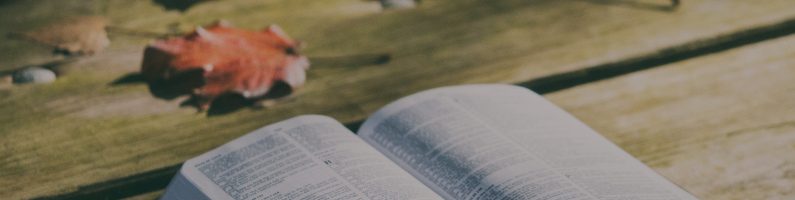 La importancia de la Palabra: predicación y vida