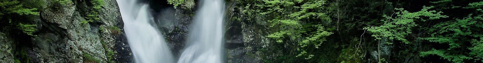 Joan, què està passant?